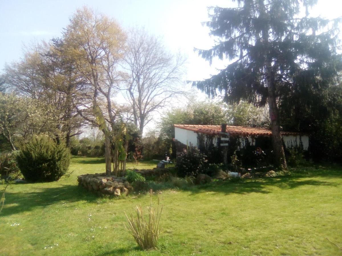 Mas Des Vignes Piscine Chauffee Bed & Breakfast Le Champ-Saint-Pere Exterior photo